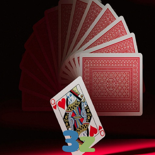  3z